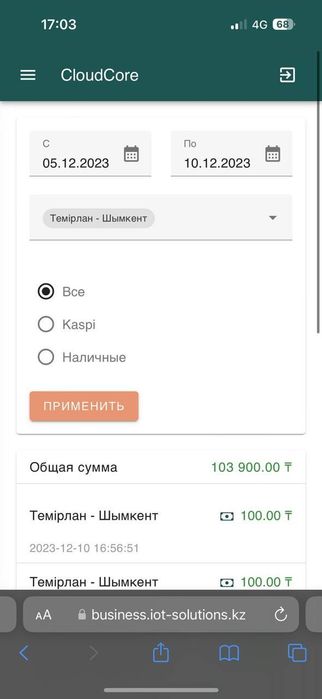 Силомер груша Боксер аппарат Али боксер