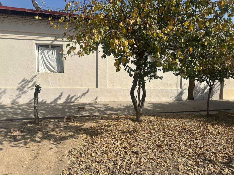 Dombiraobotda uy sotiladi