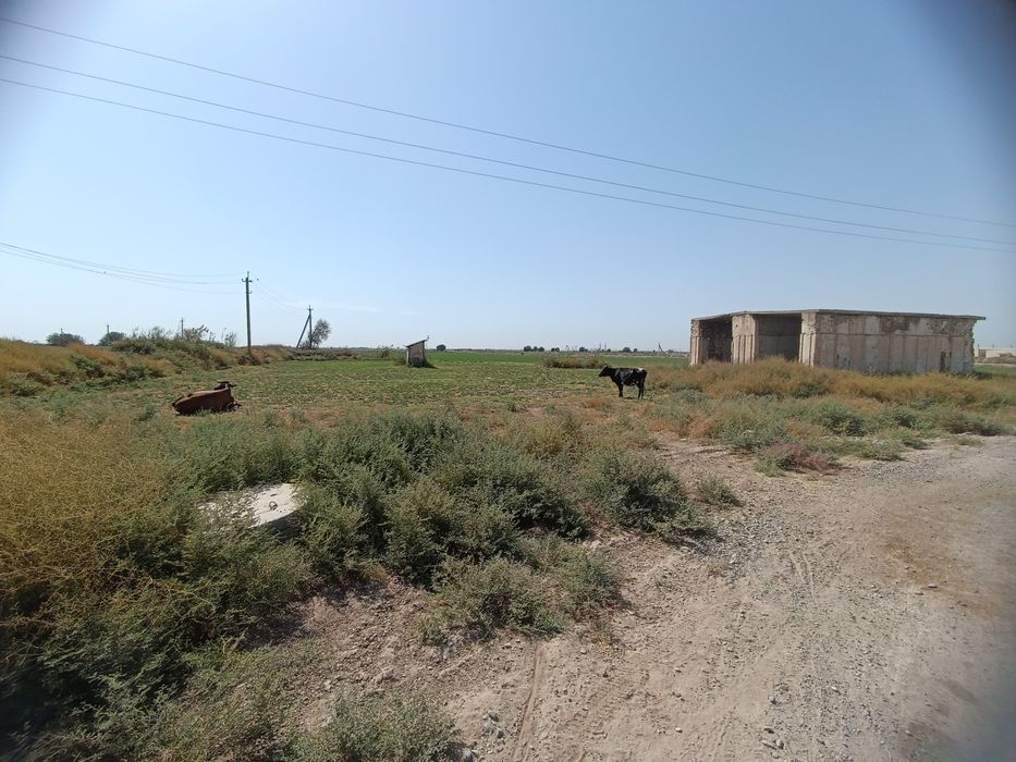 Yer sotiladi Surhondaryo viloyati Sherobod tumanida