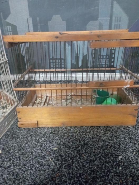 Кафас клетка. Сотилади.