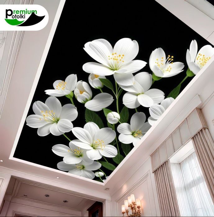 Orginal sifatli hamyonbob natajnoy patalog