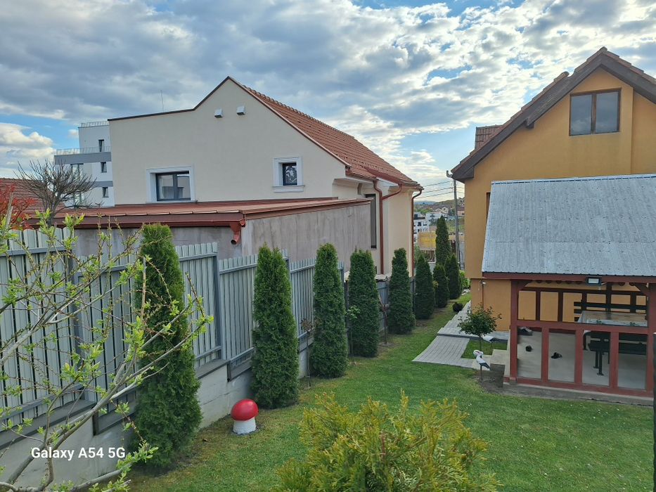 Vând tuia Smaragd 230-250 cm pentru toamnă
