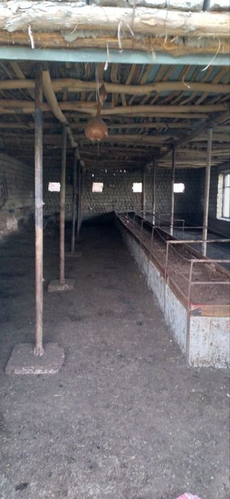 Дача, бог сотилади срочна.