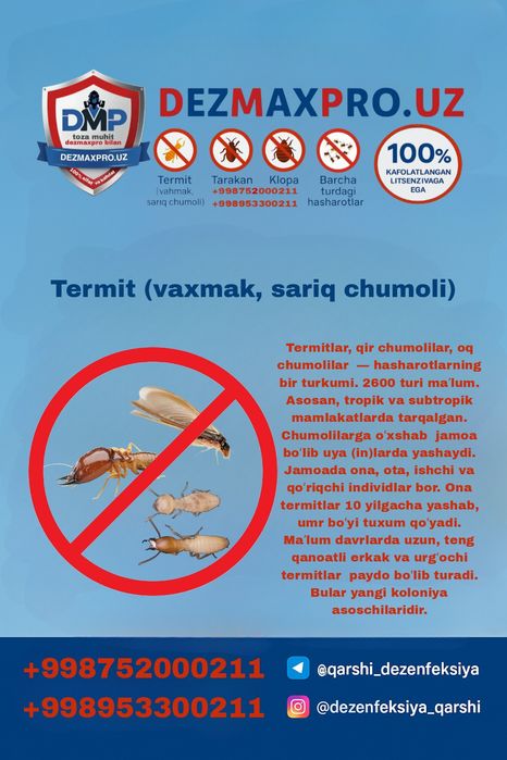 DEZMAXPRO.UZ – Қашқадарёдаги профессионал дезинфекция хизмати!