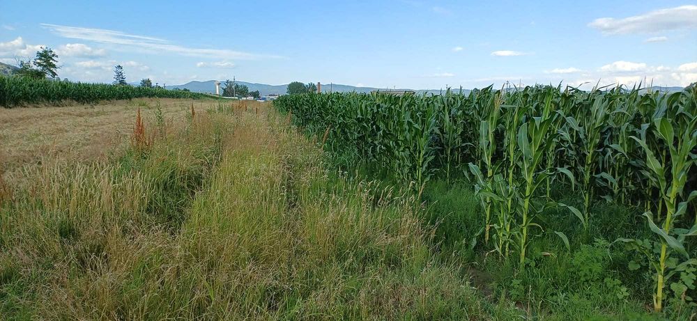 Teren Intravilan - drumul garii Ramnicu Valcea