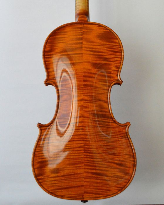 Професионални лютиерски услуги