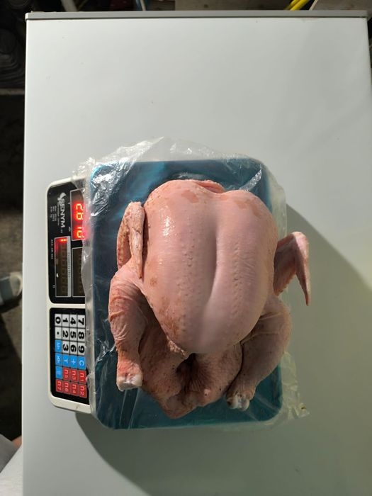 Продам тушки бройлера
