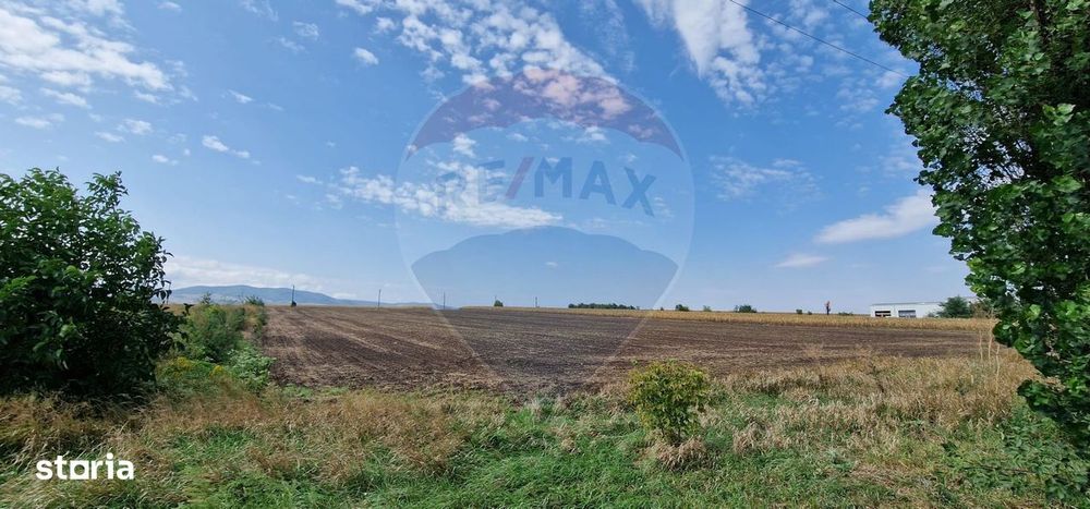 Teren intravilan, 4.874mp, DN E 85, com. Nicolae Bălcescu, Bacău
