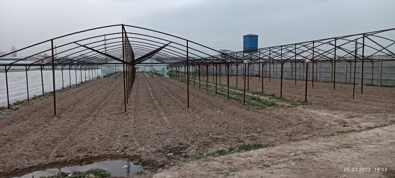 Парник , Иссикхона сотилади 40 сотих: 50 000 у.е. - Продажа Эшангузар ...