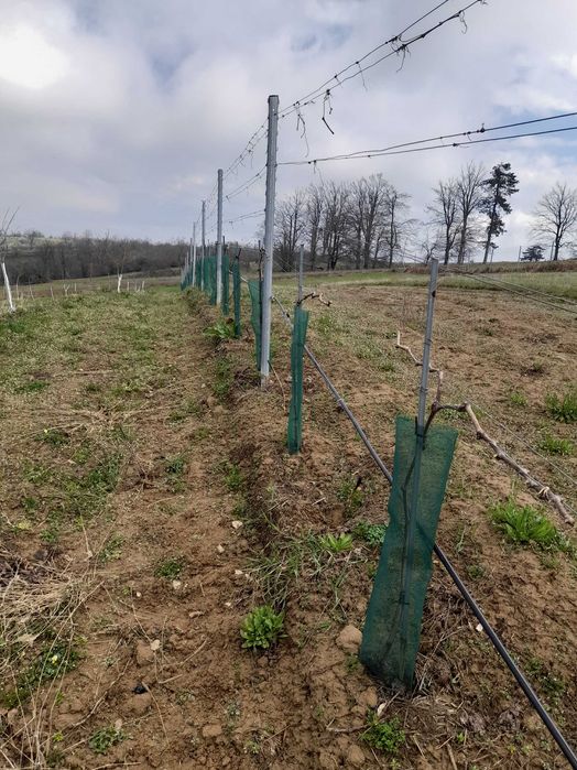 Coliba plus 2 hectare de pamant