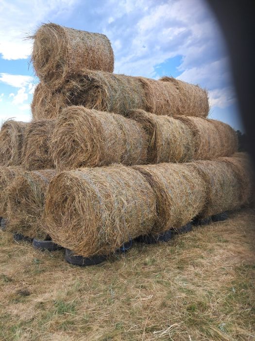 Vând baloți fân 120-120 și baloți paie
