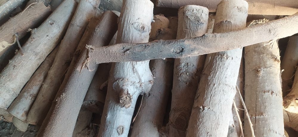 Oʻtin sotiladi srochna