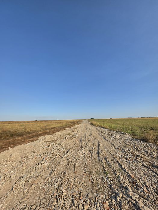 Loturi  440m intravilan com Berceni utilități