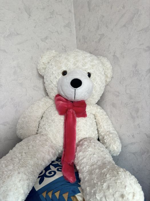 Мишка тедди, новая