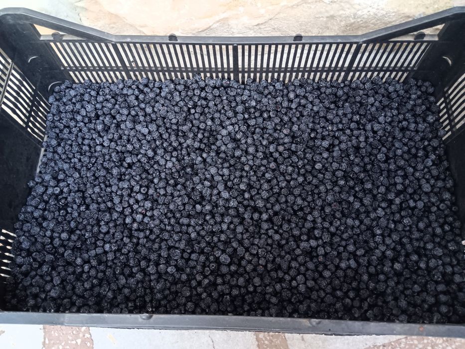 Сушена арония 2025