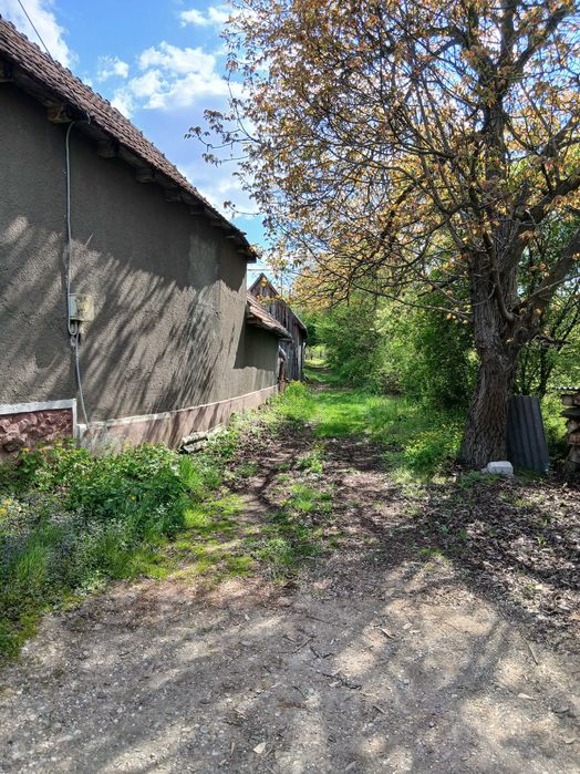 Casa de vanzare, Birtin, Bihor