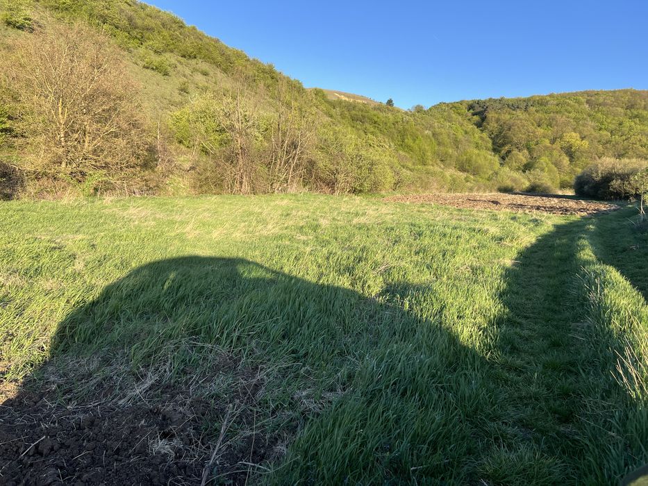 Vand teren extravilan in satul Savadisla
