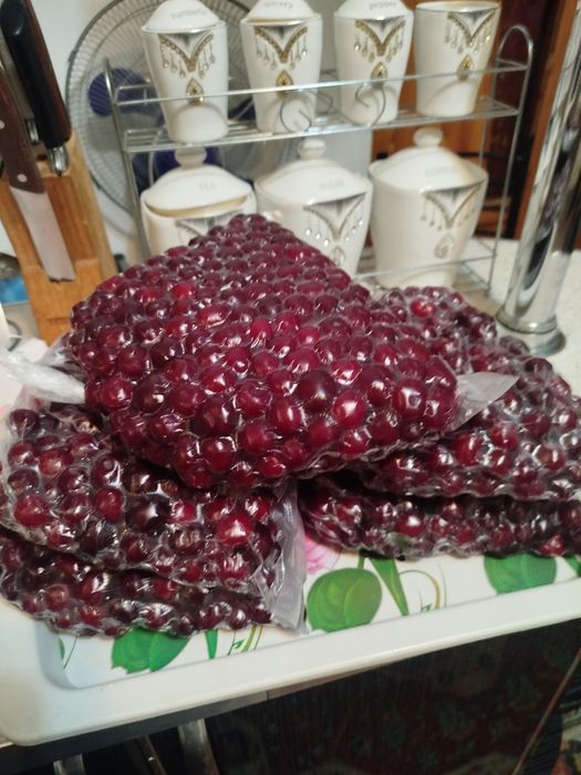 Шпанка  замороженные музлатилган продаю