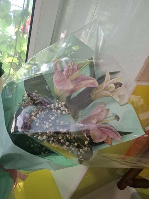 Гулдер свежий б/у