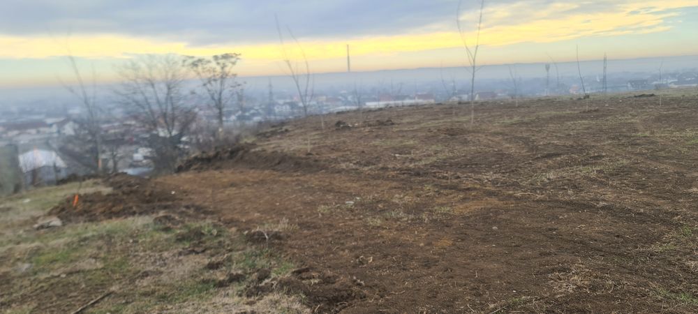 Teren dealul targului