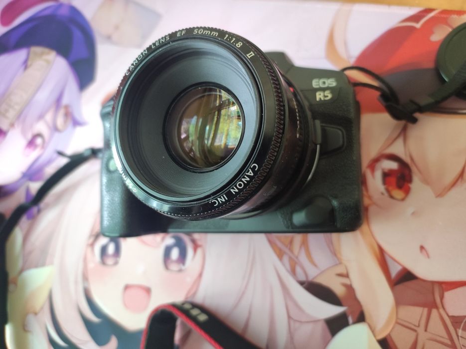 Canon EOS R5 б/у