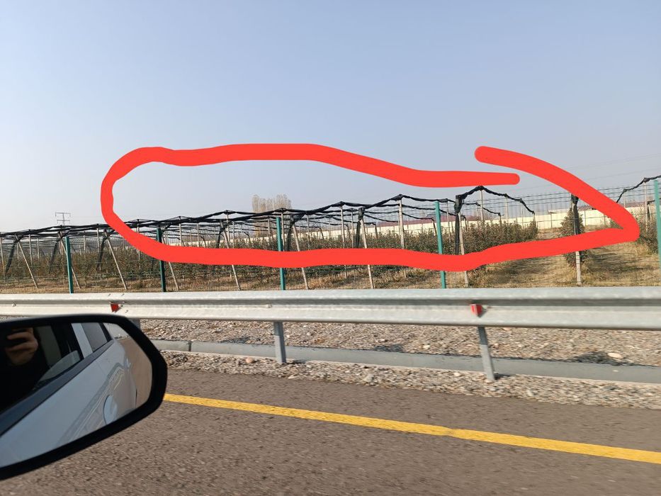 Qibray tumanidaYer uchaska sotiladi