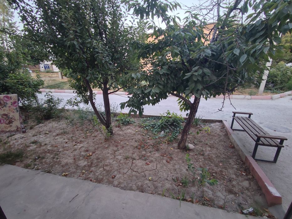 Dom 3 xonali, Дом, Квартира