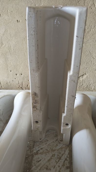 Раковина тюльпан