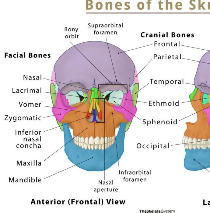 Meditatii Admitere Medicina Constanta Chimie/Biologie inclusiv online