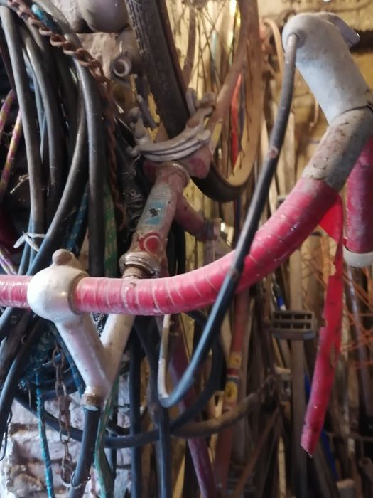 Велосипеди бегачи. Автентични