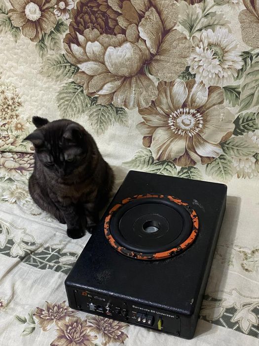 Сабвуфер DL Audio Barracuda 8A Underseat