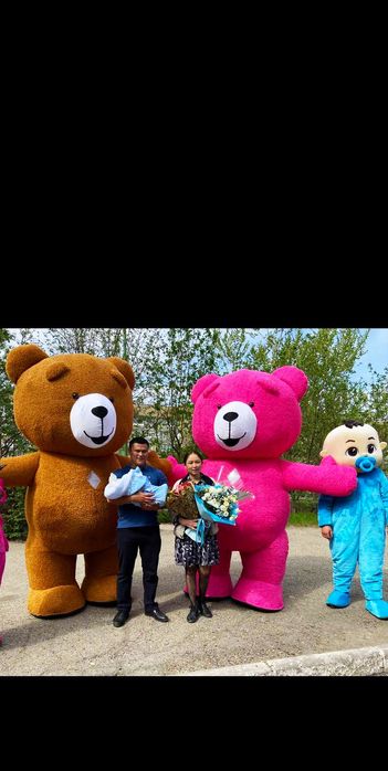 Экспресс поздравление 2 мишки яркие