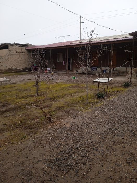 Toshkent shaxar bektemir tumani