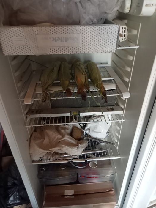 Холодильник и морозильник норд отл