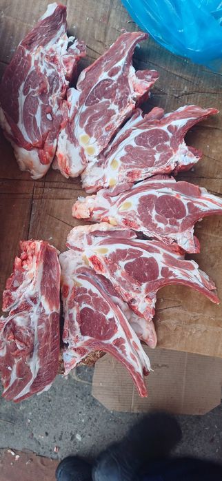 Кассоп хизмати 24/7