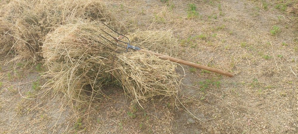 Беда, Beda, сотилади арзон булди.