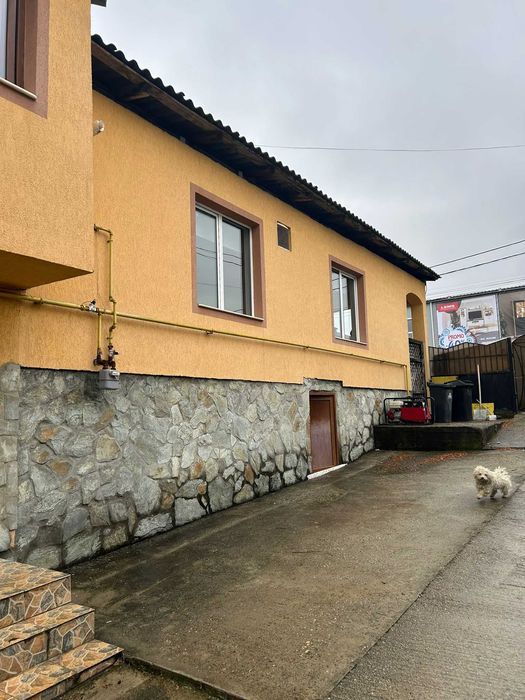 Vand Casa + Spatiu Comercial