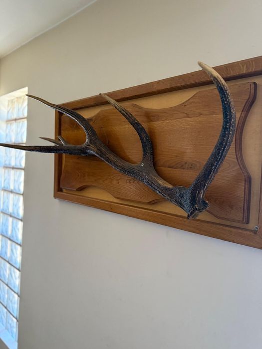 Tablou ideal pentru pensiuni