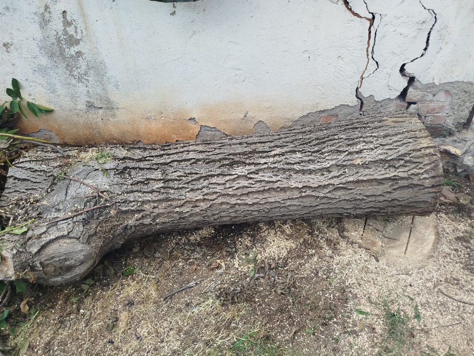 Орехов дънер за мебели