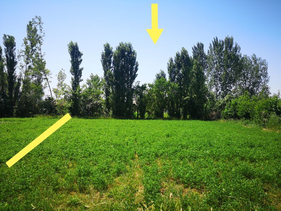 Гулистон тумани Х.Олимжон МФЙ