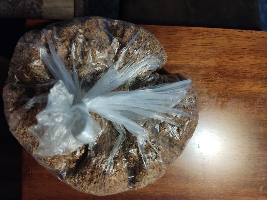 Vand propolis brut 49 ron - 100 g