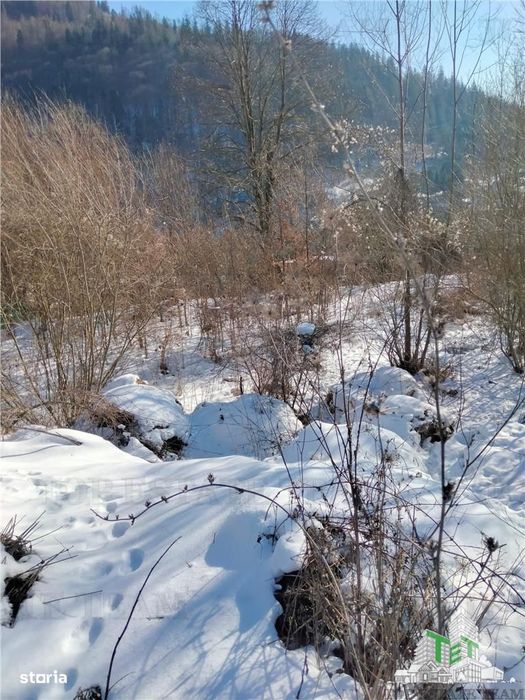 Teren Intravilan Sinaia 2255 mp