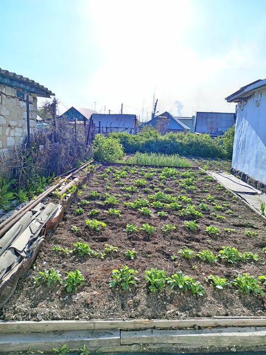 Продаётся дом в Темиртау