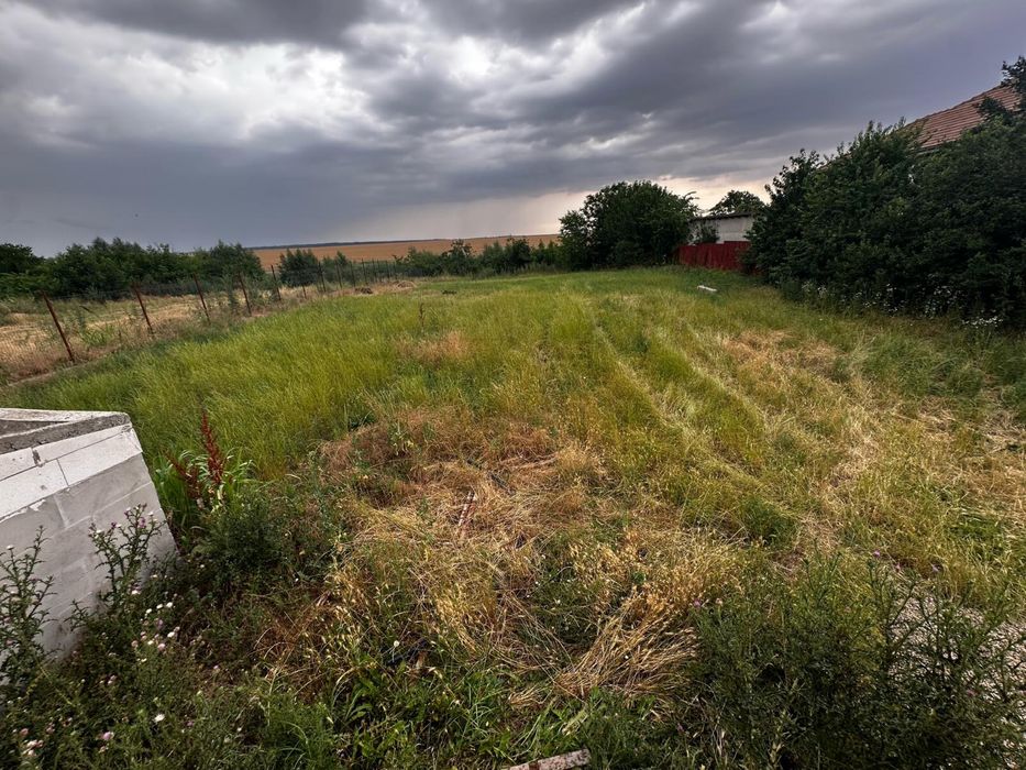 1500 MP Teren de Vanzare langa Lac Pasarea in Pasarea Frumusani