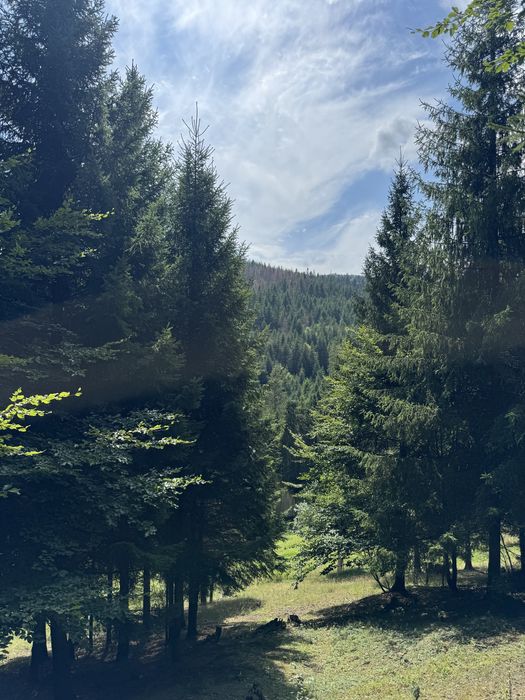 Teren de vanzare Humor/Cabane/Priveliste pitoreasca