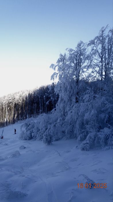 Sony Cyber-shot DSC-W830