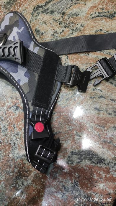 Нагръдник за куче