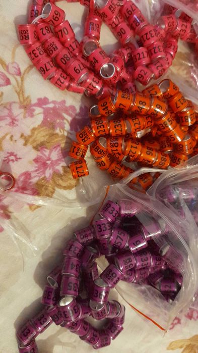 Vand ineleporumbei Romania