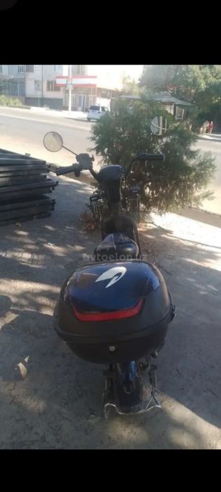 Sikuter xamma narsasi bor