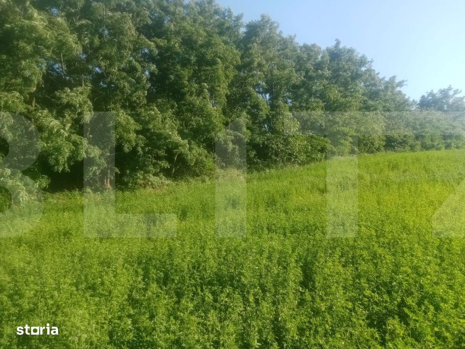 Braesti,jjud Botosani 3700 mp teren intravilan